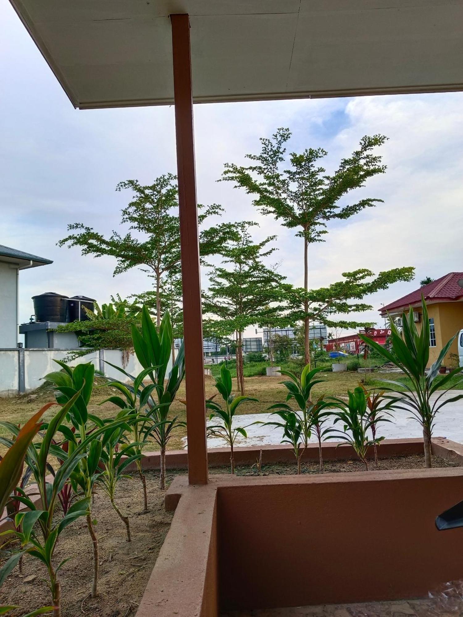 Alfa Roomstay 珍南海滩 外观 照片